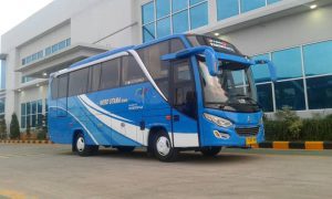 bus medium