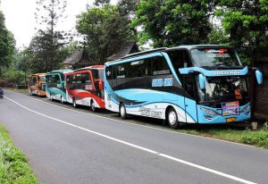 7 Rekomendasi Bus Jalur Pantura