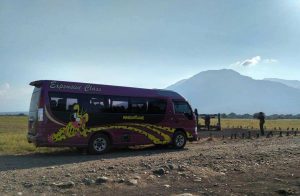 Berbagai Jenis Kapasitas Bus Pariwisata di Jakarta dan Keuntungan Menyewanya