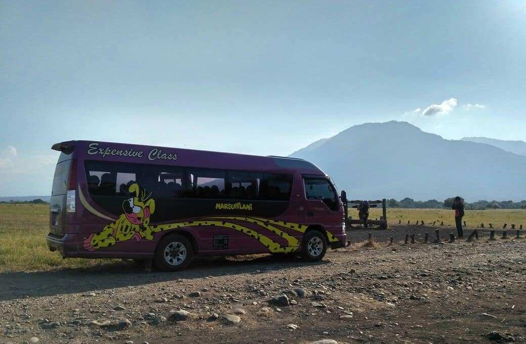 Berbagai Jenis Kapasitas Bus Pariwisata di Jakarta dan Keuntungan Menyewanya