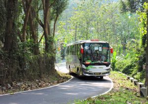 jenis bus pariwisata sewa bus pariwisata jakarta