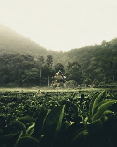 wisata Bogor
