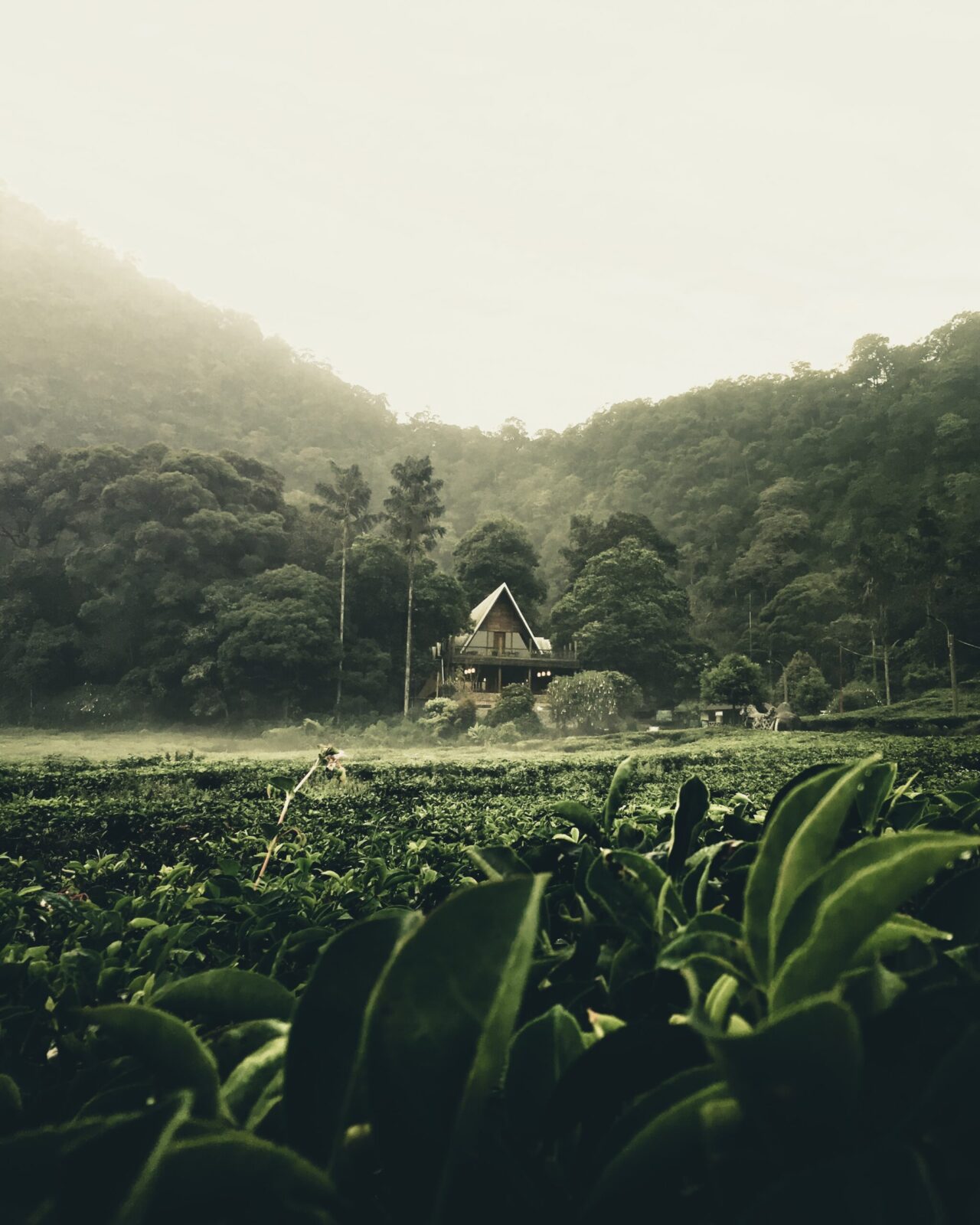 wisata Bogor