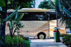 bus pariwisata