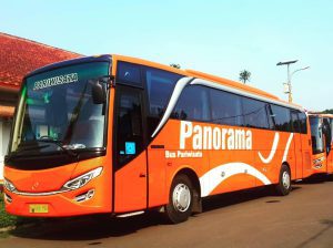 sewa bus panorama