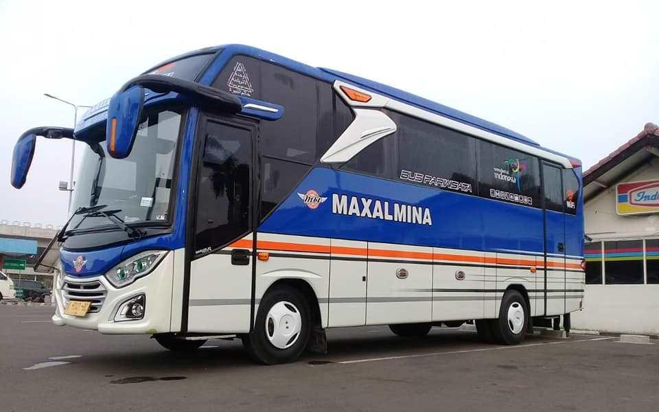Maxalmina (7)