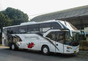 sewa bus midas nusantara