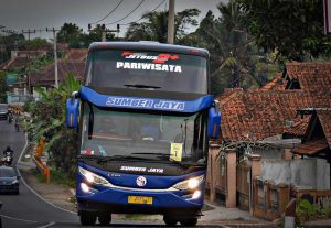 sewa bus sumber jaya trans