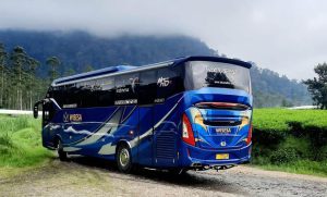 sewa bus wisesa transport