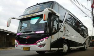 Sewa Bus Dian Trans