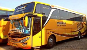 sewa bus asiamas