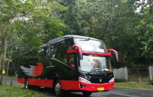 sewa bus RMJ