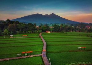 Tempat Wisata Bogor