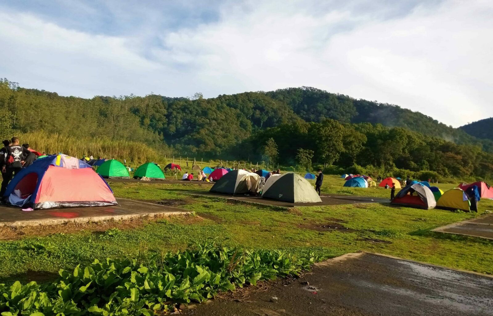 Tempat Wisata Ciwidey