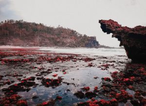 wisata pantai sukabumi