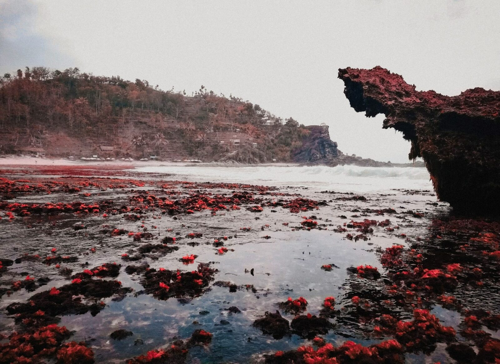 wisata pantai sukabumi