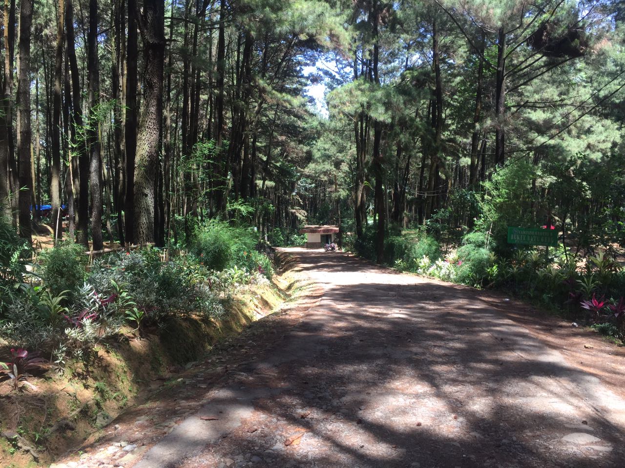 Wisata Puncak Bogor