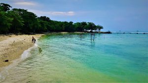 Tanjung lesung