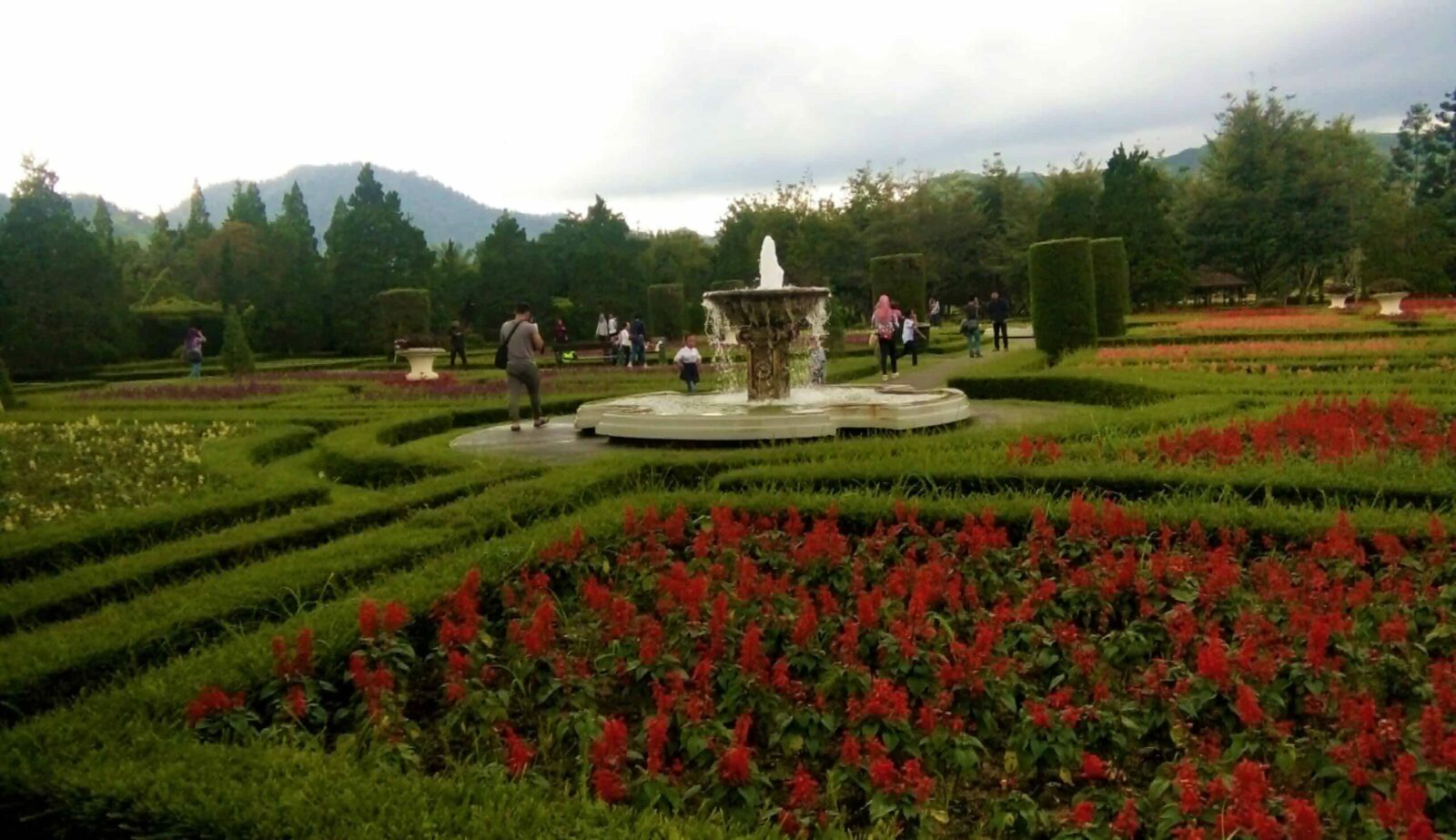 Wisata Cipanas