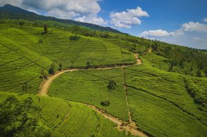 Wisata Ciater Subang