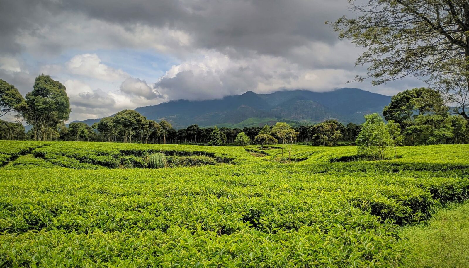 tempat wisata pangalengan