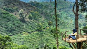 Bukit Senyum Bandung