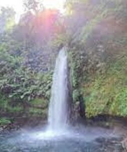 Curug sawer