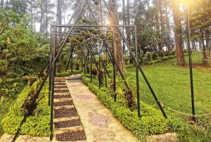 Orchid Forest Lembang