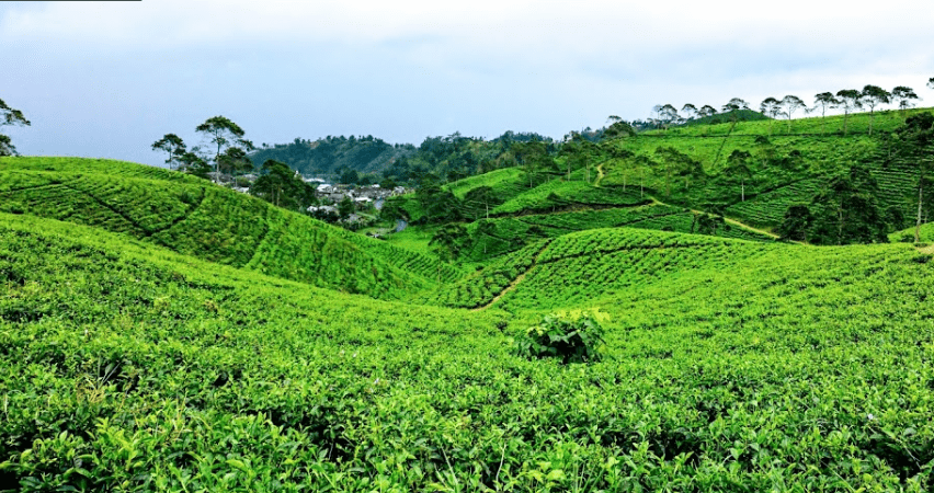 wisata Karanganyar