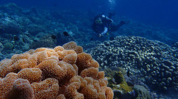 wisata bahari di sulawesi tenggara