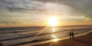 Pantai Glagah
