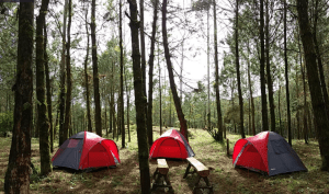 wisata Ciwidey