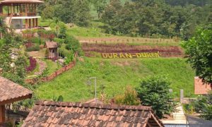 wisata Wonosalam