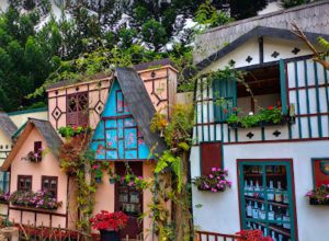 rumah hobbit