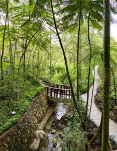 taman bunga di Indonesia