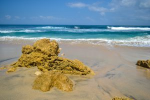 wisata pantai di Tulungagung