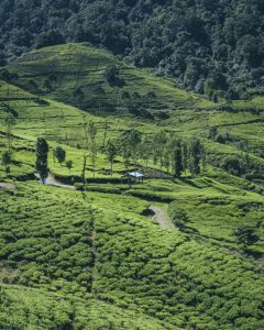 wisata subang terbaru