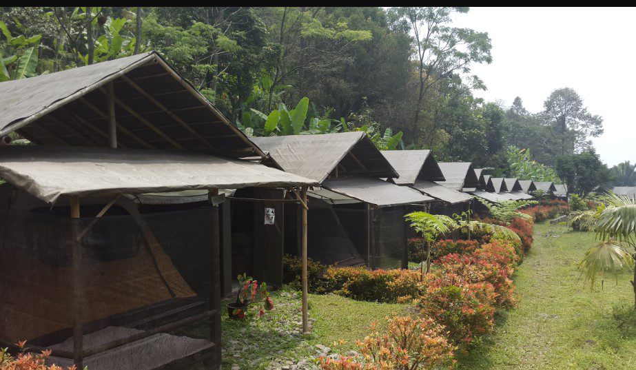 glamping bogor