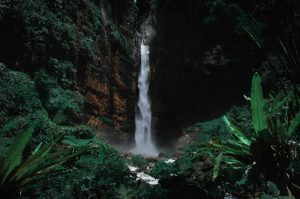 air terjun jawa timur