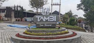 Teh tambi