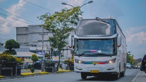 cara merawat bus