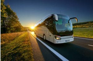 menyewa bus