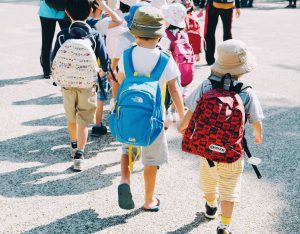Sewa Bus untuk Pariwisata Edukasi: Memperkaya Pengalaman Belajar di Luar Kelas