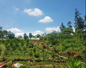lokasi tlogo land malang