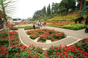 wisata selecta