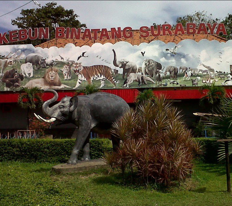 kebun binatang surabaya