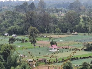 wisata berastagi