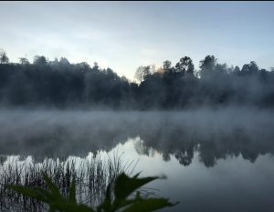 ranu regulo lumajang
