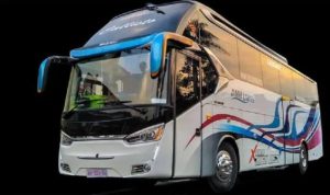 harga sewa bus pariwisata