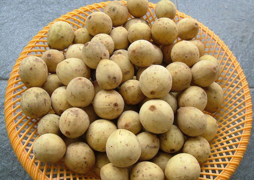 oleh-oleh khas Jambi